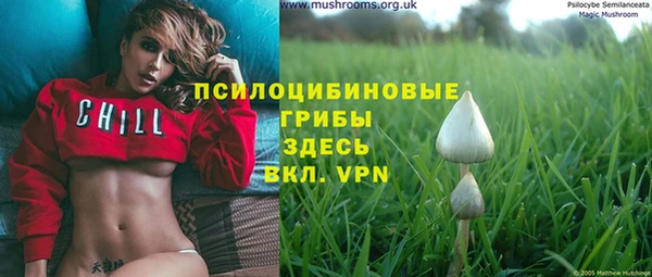 ALPHA PVP Баксан