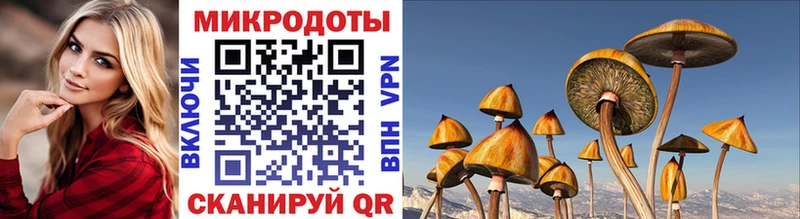 Галлюциногенные грибы мухоморы  Калуга 