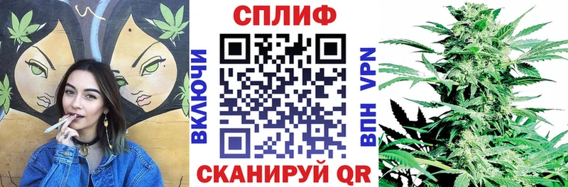 как найти наркотики  Калуга  Бошки Шишки Ganja 